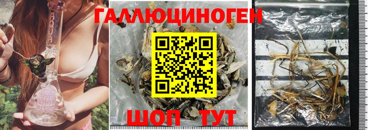Псилоцибиновые грибы Psilocybe  Псилоцибиновые грибы Psilocybine cubensis  Троицк  Вход с VPN 