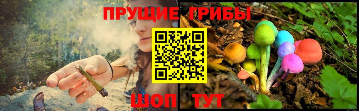 Псилоцибиновые грибы ЛСД Троицк